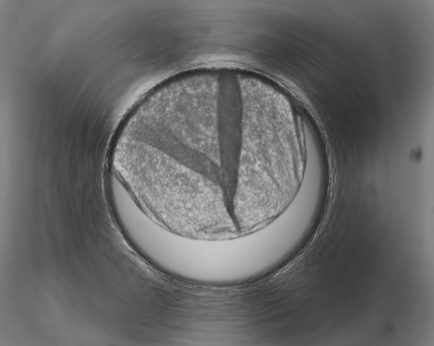 X0000114651277200912011103