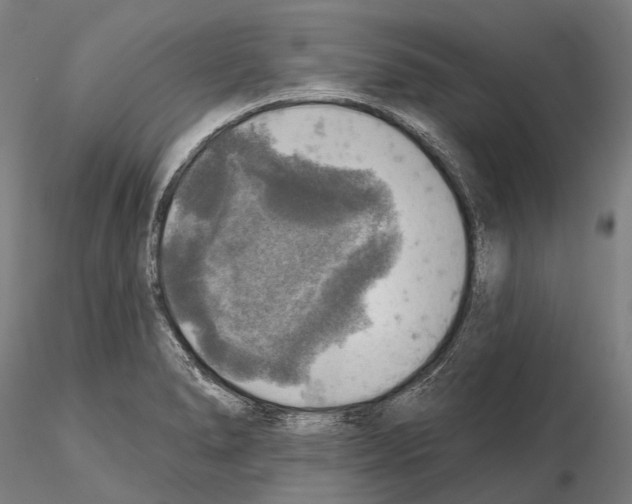 X0000114651278200912011103