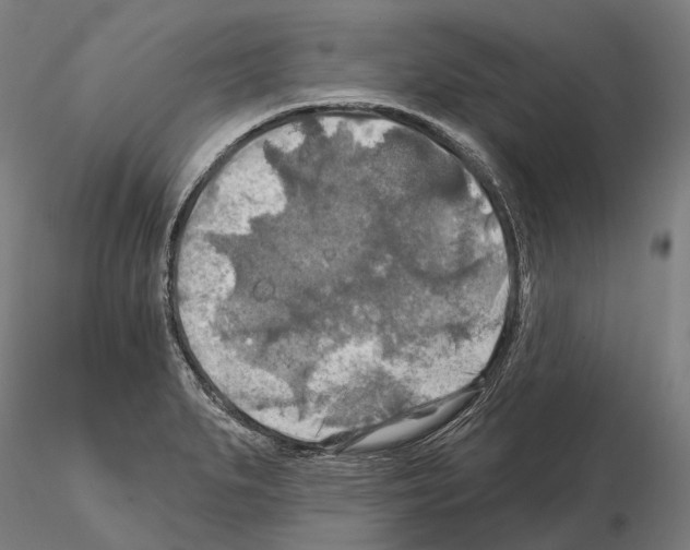 X0000114651279200912011103