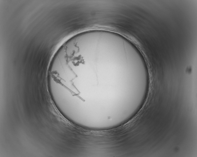 X0000114651280200912011103