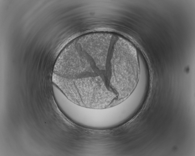 X0000114651281200912011103