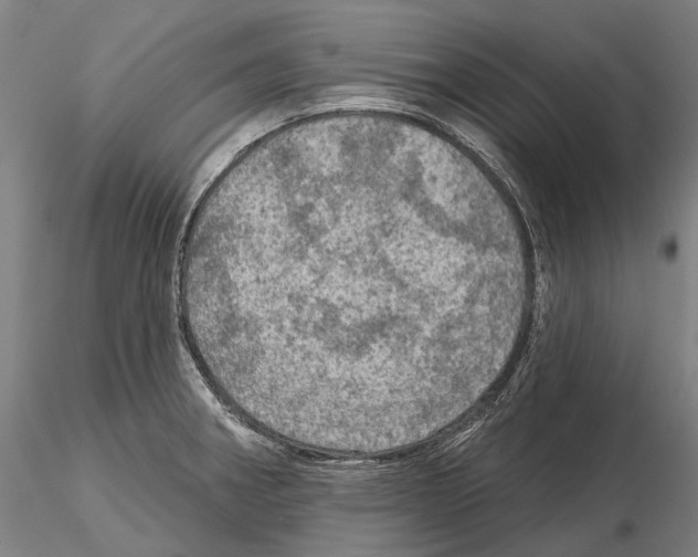 X0000114651282200912011103