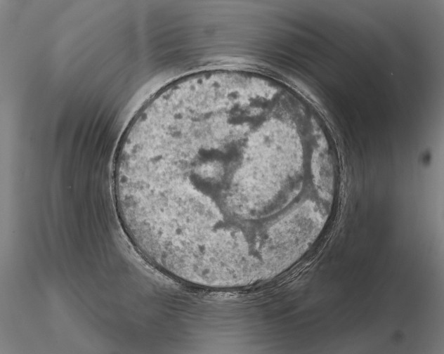 X0000114651283200912011103