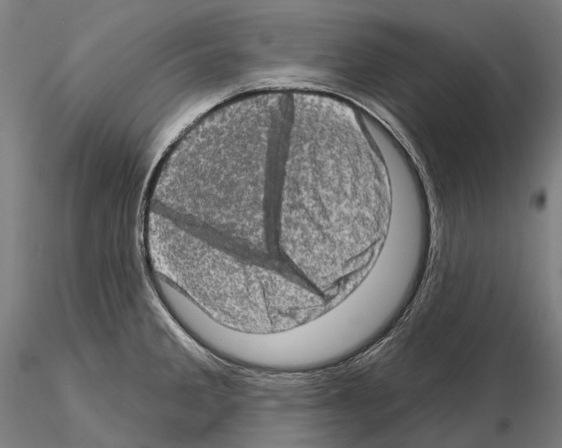 X0000114651285200912011103