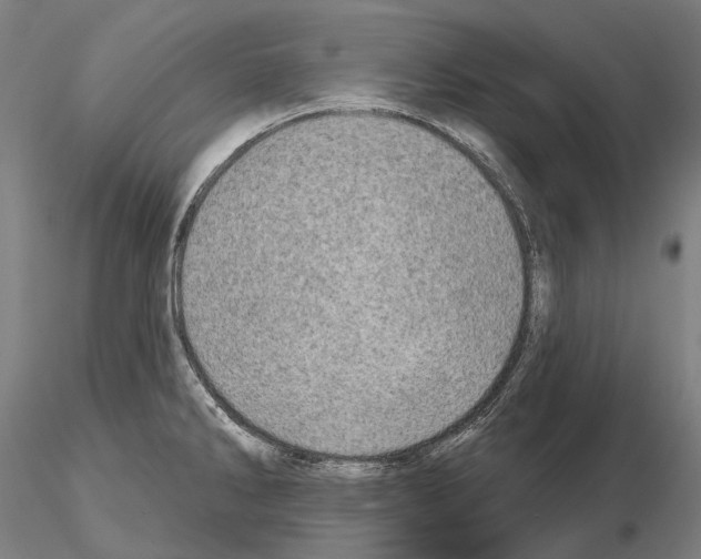 X0000114651286200912011103