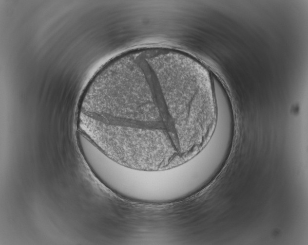 X0000114651288200912011103