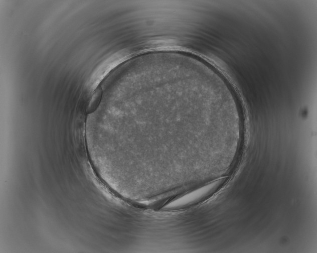 X0000114651289200912011103