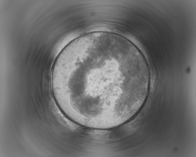 X0000114651290200912011103