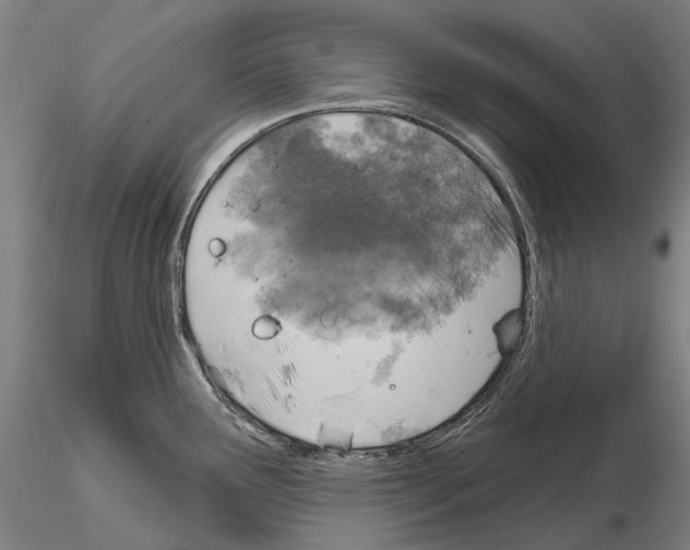 X0000114651291200912011103