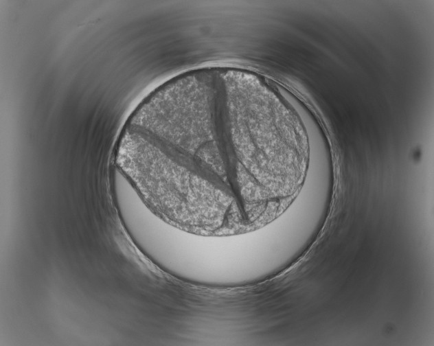 X0000114651292200912011103