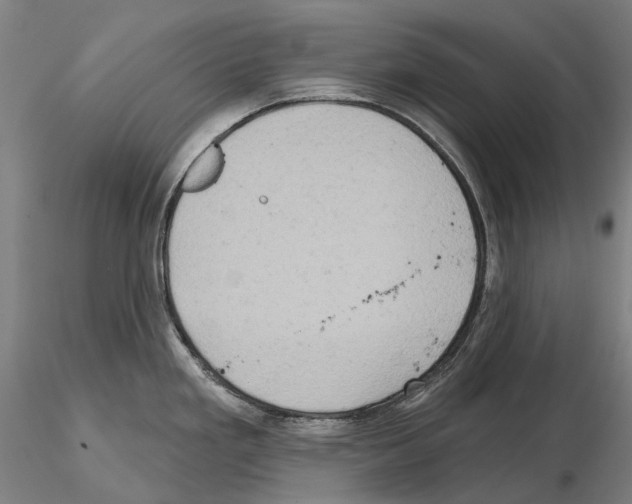 X0000114651293200912011103