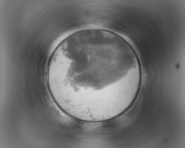 X0000114651294200912011103