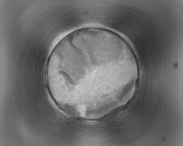 X0000114651295200912011103