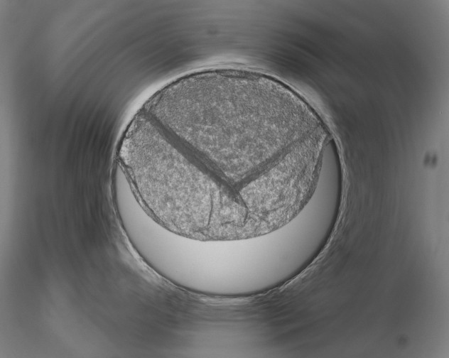 X0000114651296200912011103