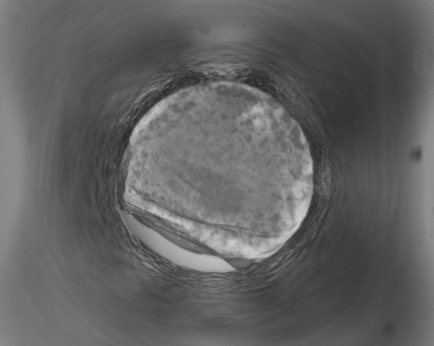 X0000114651297200912011102