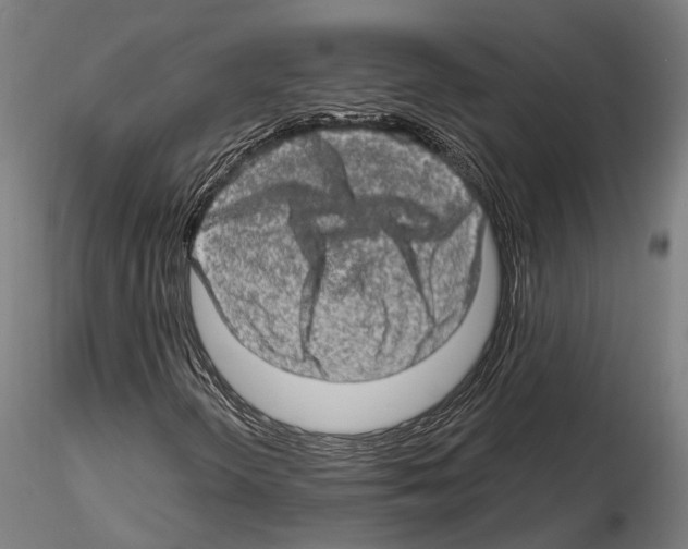 X0000114651298200912011102