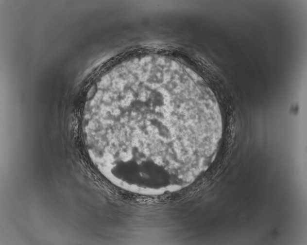 X0000114651302200912011102