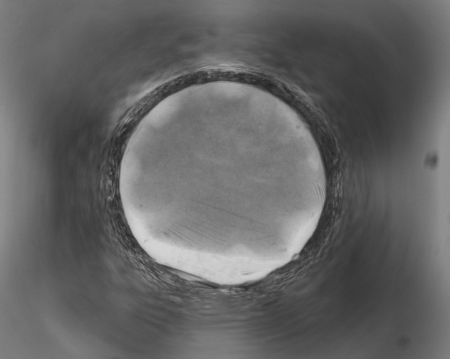 X0000114651303200912011102