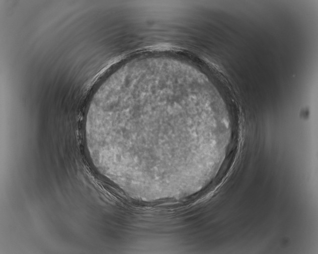 X0000114651305200912011102