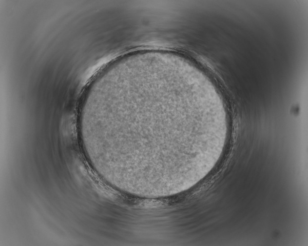 X0000114651307200912011102