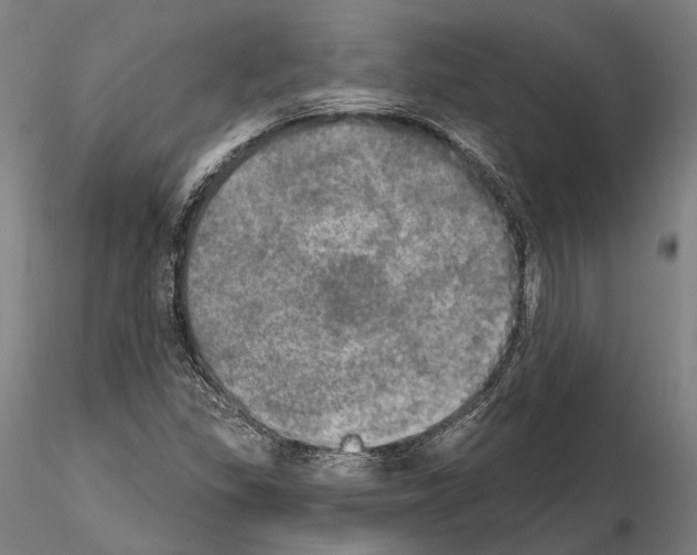 X0000114651309200912011102