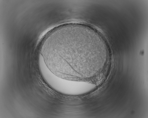 X0000114651310200912011102