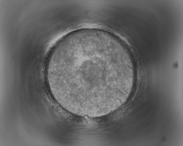 X0000114651311200912011102