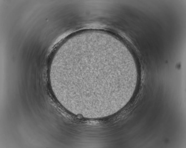 X0000114651315200912011103