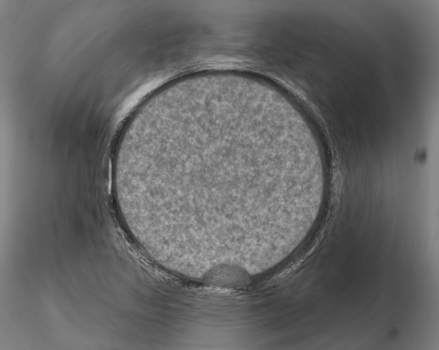 X0000114651317200912011103