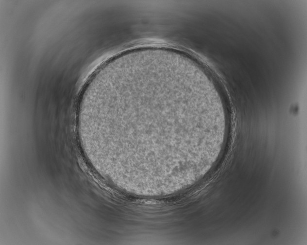 X0000114651318200912011103