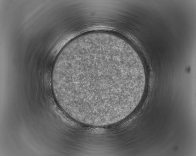 X0000114651321200912011103