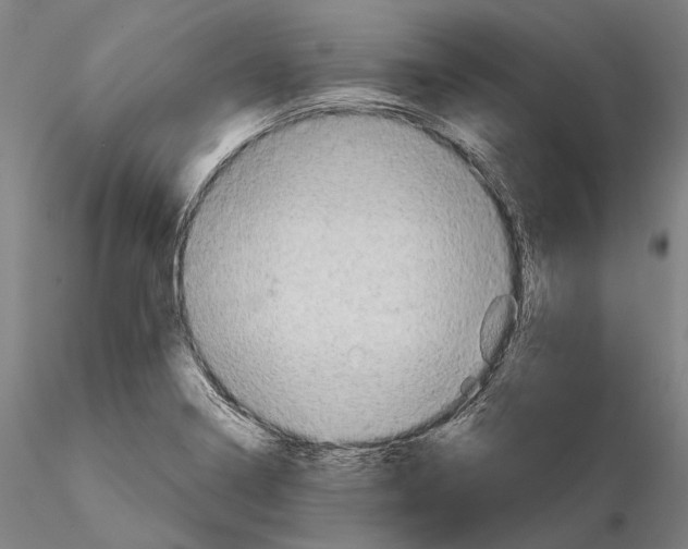 X0000114651322200912011103