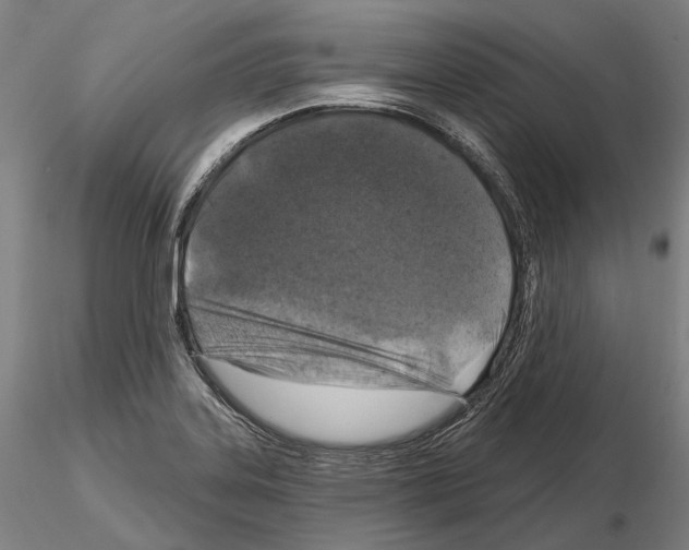 X0000114651323200912011103