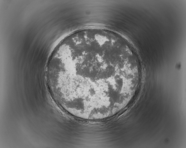 X0000114651325200912011103