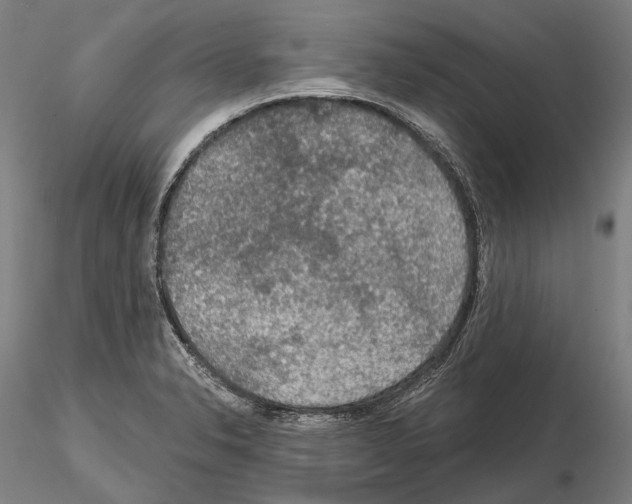 X0000114651326200912011103