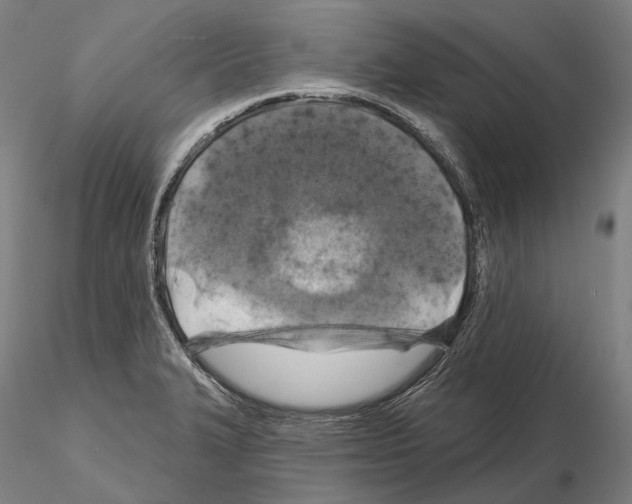 X0000114651327200912011103