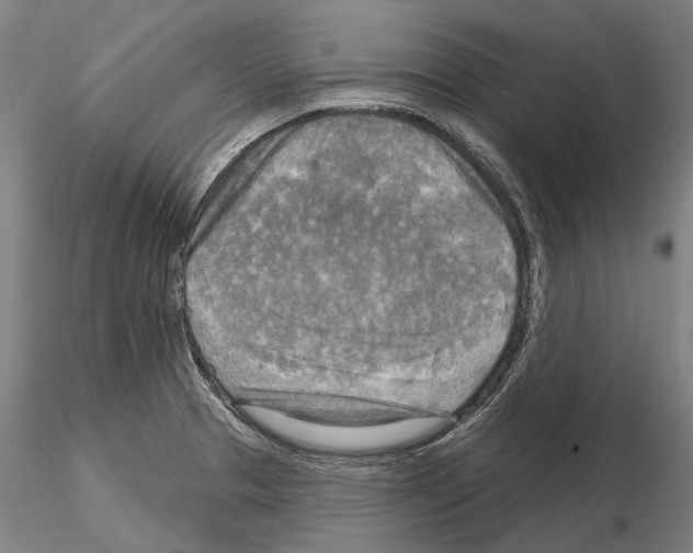 X0000114651329200912011103