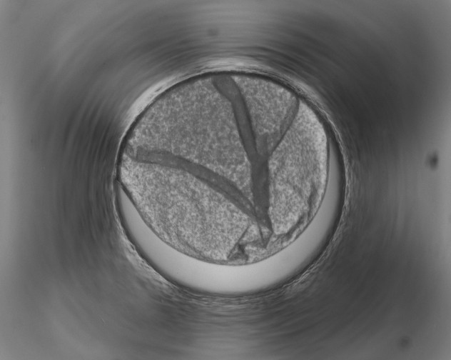 X0000114651330200912011103