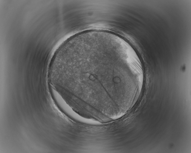 X0000114651331200912011103