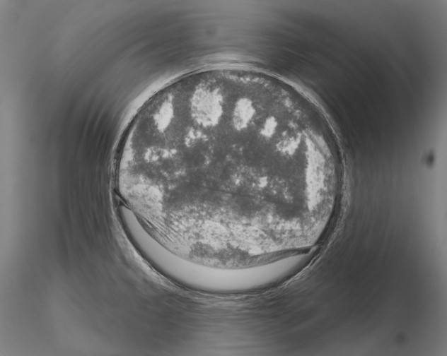 X0000114651333200912011103