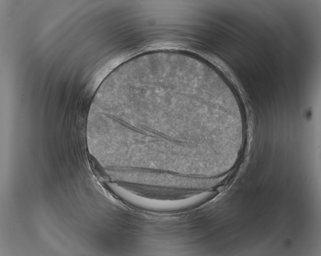 X0000114651337200912011103