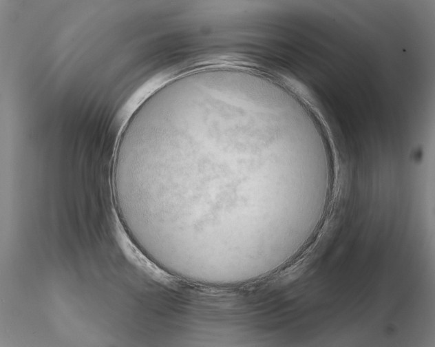 X0000114651338200912011103