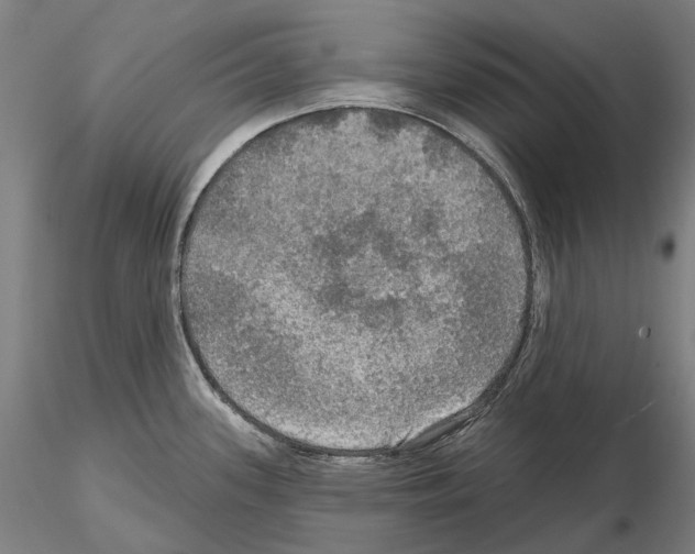 X0000114651339200912011103