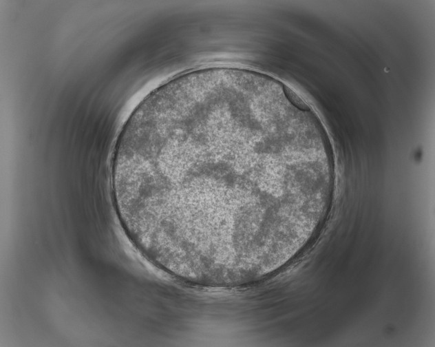 X0000114651341200912011103