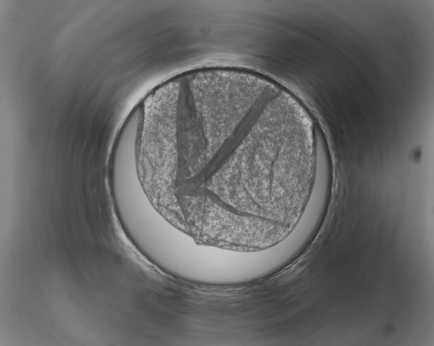 X0000114651342200912011103