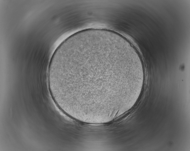 X0000114651343200912011103