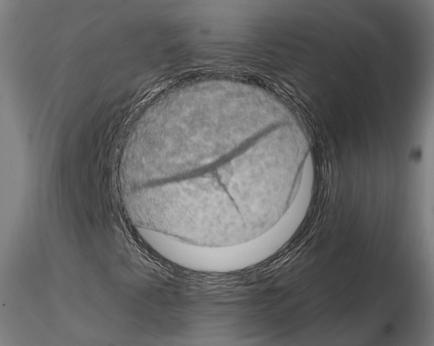 X0000114651345200912011102