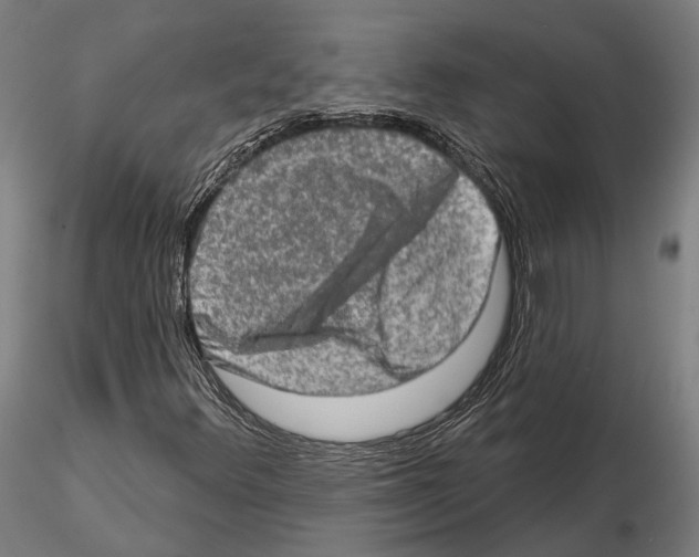 X0000114651348200912011102