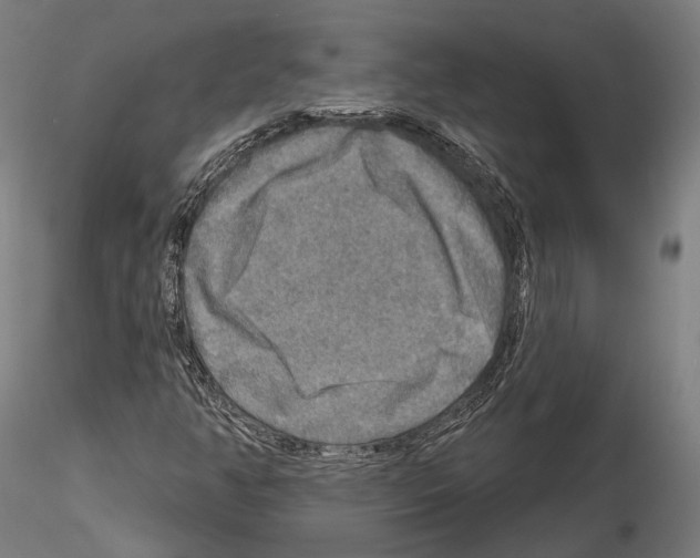 X0000114651350200912011102