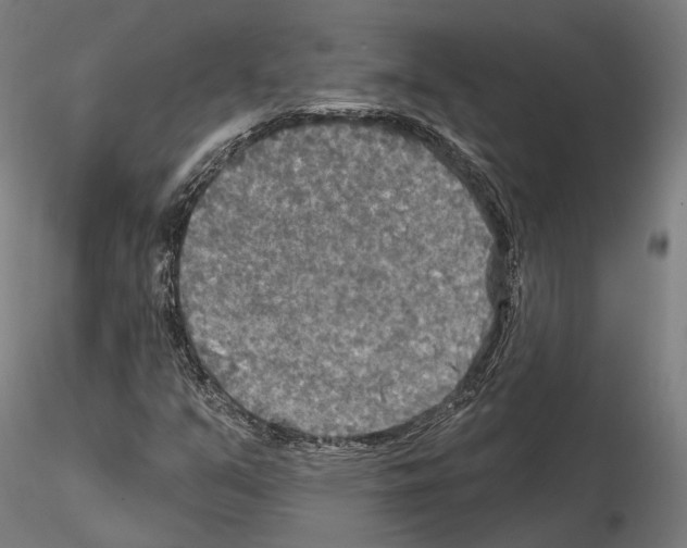 X0000114651351200912011102